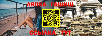 гидра Малгобек