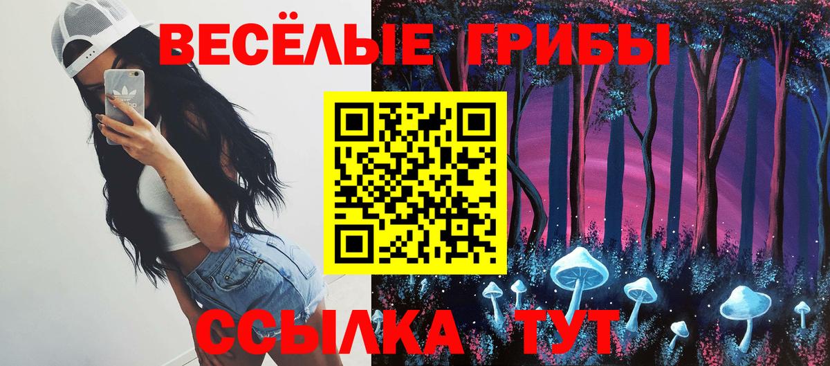 Галлюциногенные грибы Psilocybine cubensis Домодедово